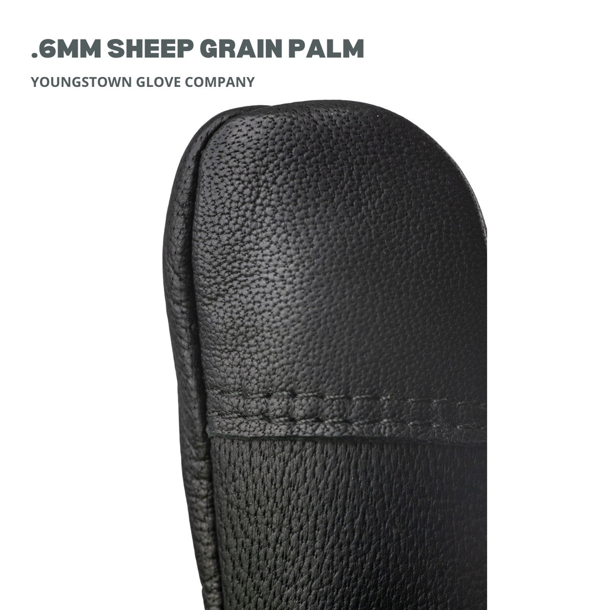 10in Secondary Expertex Hybrid Protector  Sheep Grain Palm