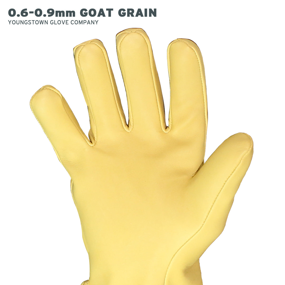 CHANCE® Glove Protector 10IN Goatskin Nylon Strap, Size 10-10H